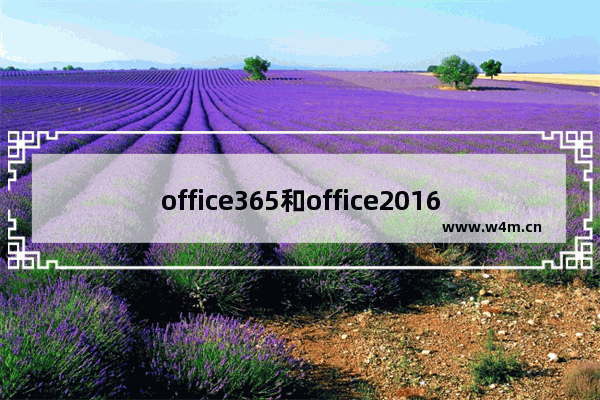 office365和office2016有何区别,office365和office2013区别