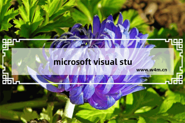 microsoft visual studio2019使用教程,microsoft visual studio 2019