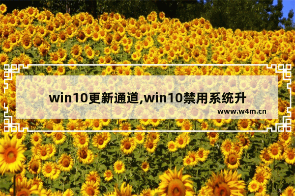 win10更新通道,win10禁用系统升级