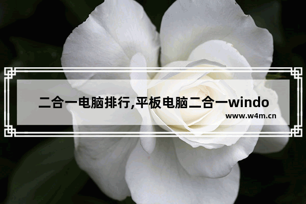 二合一电脑排行,平板电脑二合一windows系统选哪一款