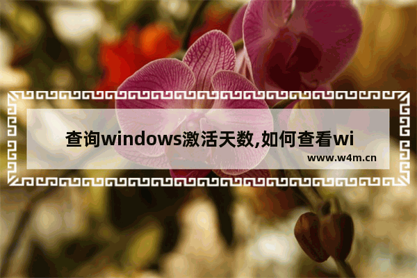 查询windows激活天数,如何查看window激活天数