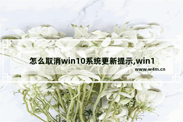 怎么取消win10系统更新提示,win10系统总提示更新怎么关