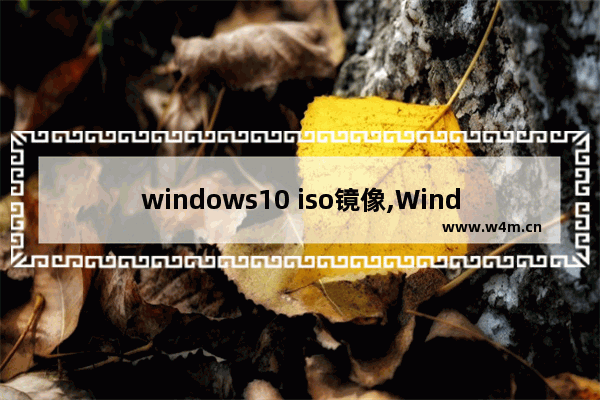 windows10 iso镜像,Windows11正式版iso镜像