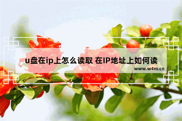 u盘在ip上怎么读取 在IP地址上如何读取U盘