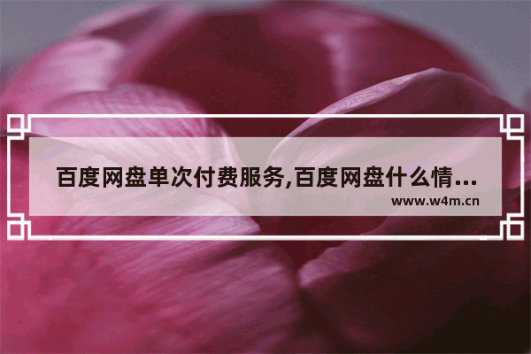 百度网盘单次付费服务,百度网盘什么情况下需要付费