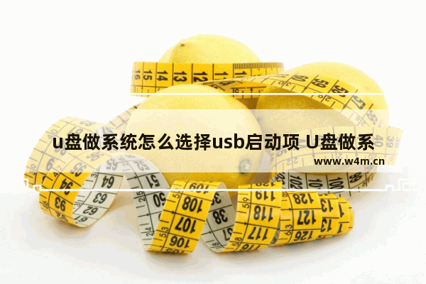 u盘做系统怎么选择usb启动项 U盘做系统如何选择启动项