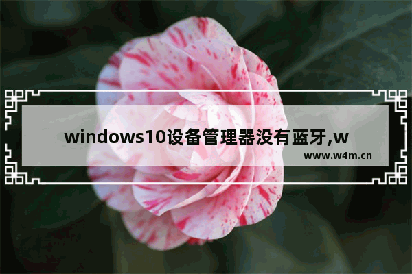 windows10设备管理器没有蓝牙,window10设备管理器无蓝牙