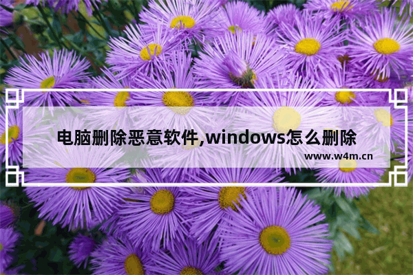 电脑删除恶意软件,windows怎么删除恶意软件