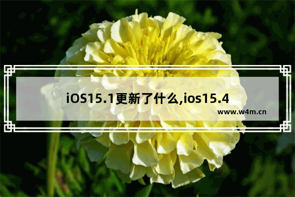 iOS15.1更新了什么,ios15.4更新了什么