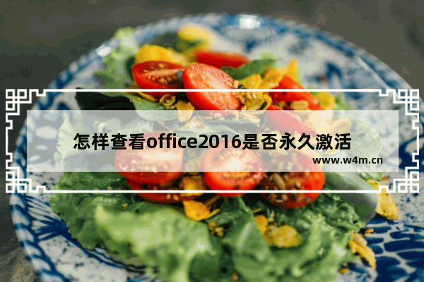 怎样查看office2016是否永久激活,如何看office2016有没有永久激活