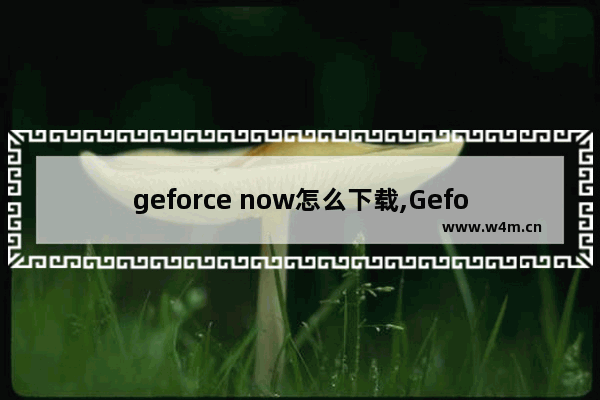 geforce now怎么下载,Geforce注册