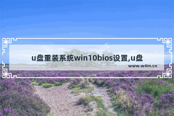 u盘重装系统win10bios设置,u盘安装win7 bios设置