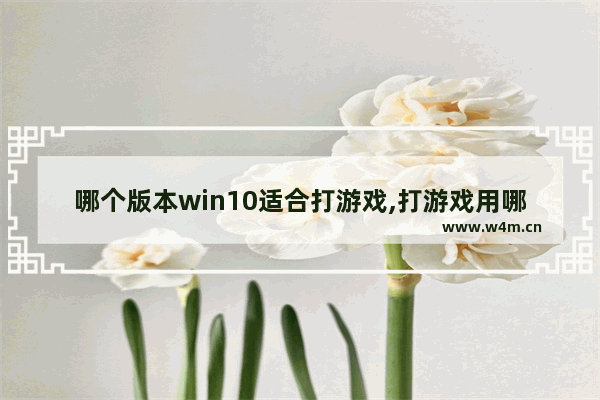 哪个版本win10适合打游戏,打游戏用哪个win10版本