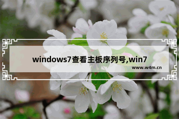 windows7查看主板序列号,win7查看主板序列号