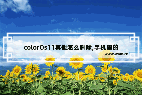 colorOs11其他怎么删除,手机里的coloros是什么意思可以删除吗