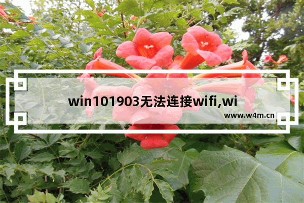 win101903无法连接wifi,win101909连不上网