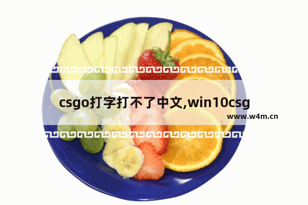 csgo打字打不了中文,win10csgo输入法没法打中文怎么办