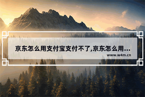 京东怎么用支付宝支付不了,京东怎么用支付宝支付京东金条