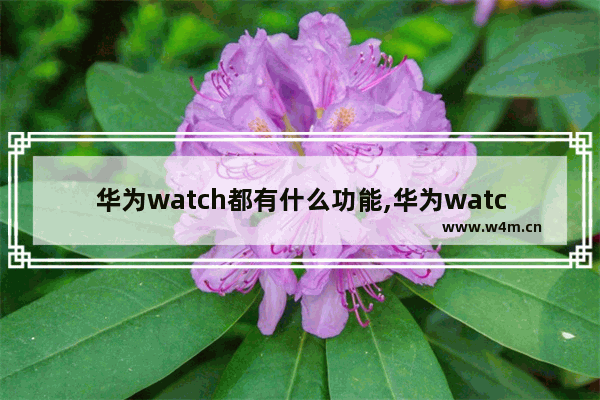 华为watch都有什么功能,华为watch手表是什么意思