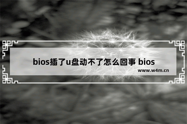 bios插了u盘动不了怎么回事 bios无法从U盘启动的解决方法