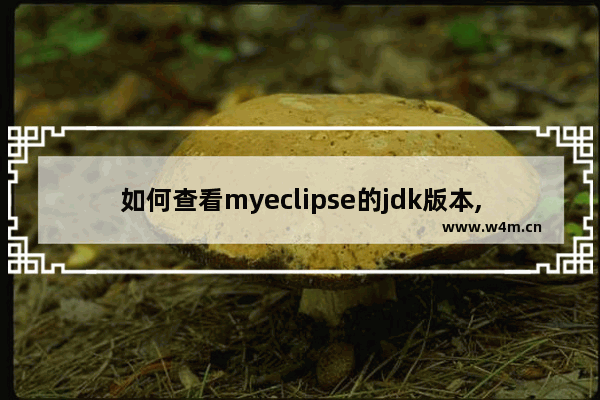 如何查看myeclipse的jdk版本,如何查看自己的eclipse版本