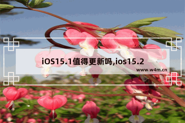 iOS15.1值得更新吗,ios15.2值得更新吗