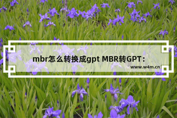 mbr怎么转换成gpt MBR转GPT：详细步骤