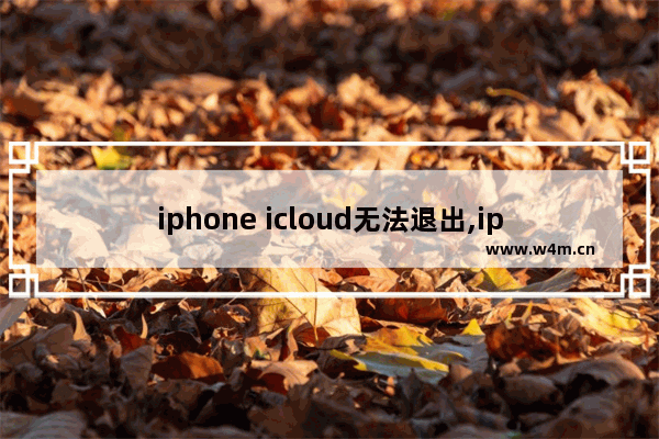 iphone icloud无法退出,iphone icloud退出不了怎么办