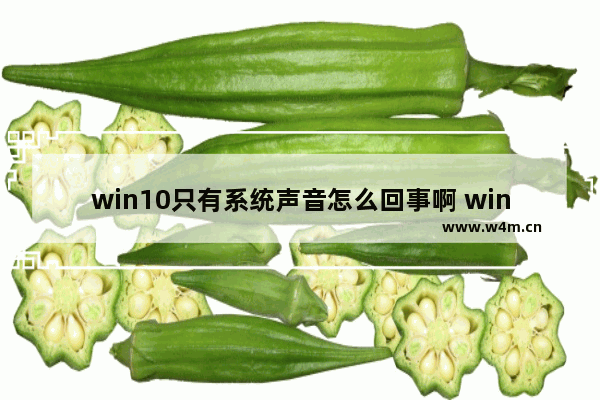 win10只有系统声音怎么回事啊 win10系统声音丢失，怎么办？