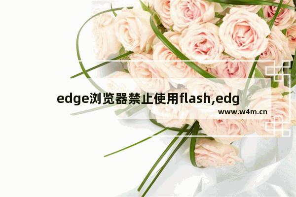 edge浏览器禁止使用flash,edge浏览器如何始终允许flash