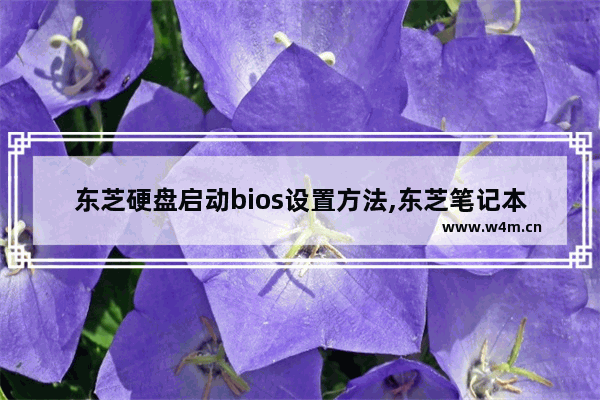 东芝硬盘启动bios设置方法,东芝笔记本如何进入bios设置