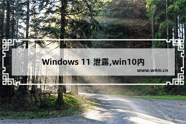 Windows 11 泄露,win10内存泄漏的解决方法