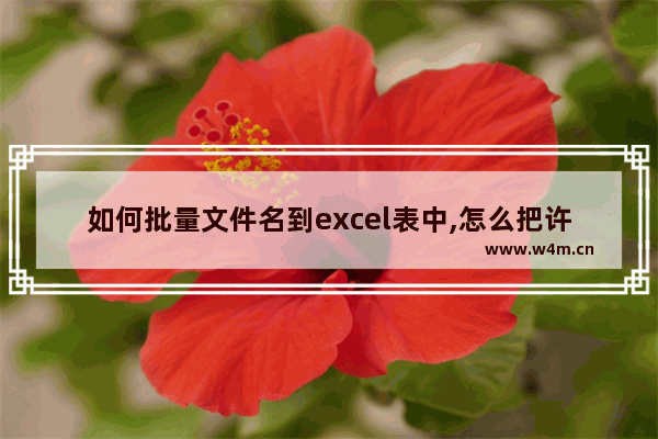 如何批量文件名到excel表中,怎么把许多文件名快速录入表格