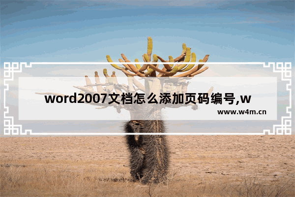 word2007文档怎么添加页码编号,word2010怎么添加页码编号