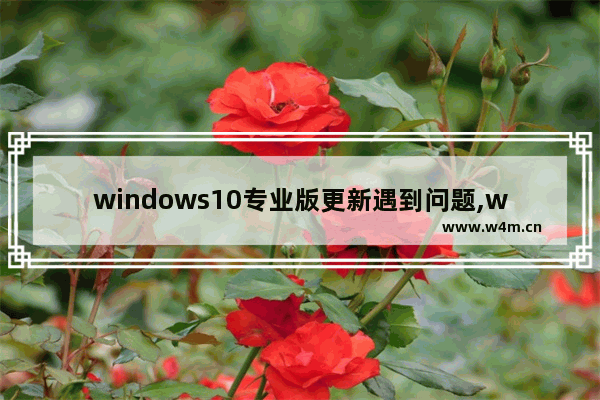 windows10专业版更新遇到问题,win10专业版屏蔽更新