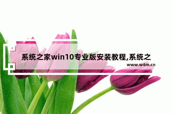 系统之家win10专业版安装教程,系统之家windows10_2