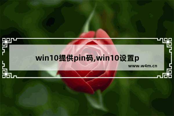 win10提供pin码,win10设置pin码是什么意思