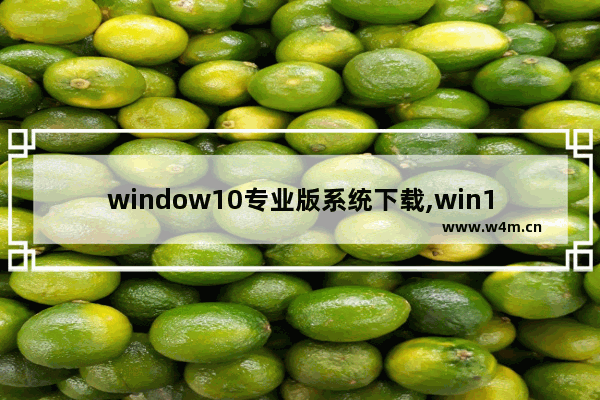 window10专业版系统下载,win10系统版本下载