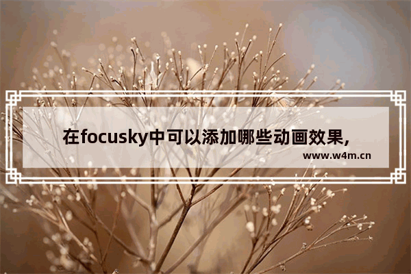 在focusky中可以添加哪些动画效果,focusky自定义动画