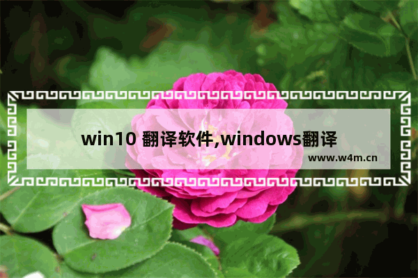 win10 翻译软件,windows翻译软件