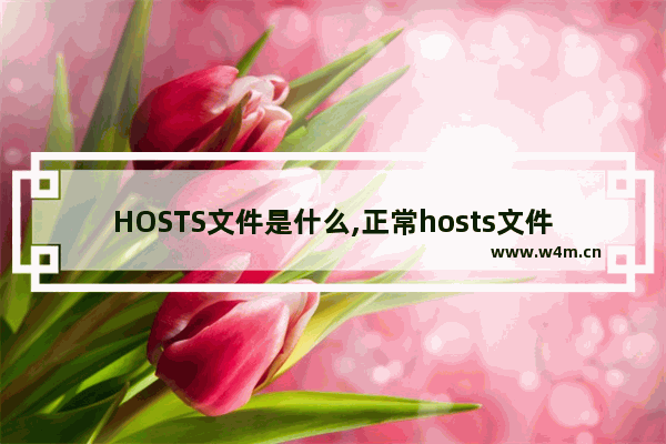 HOSTS文件是什么,正常hosts文件是怎样的