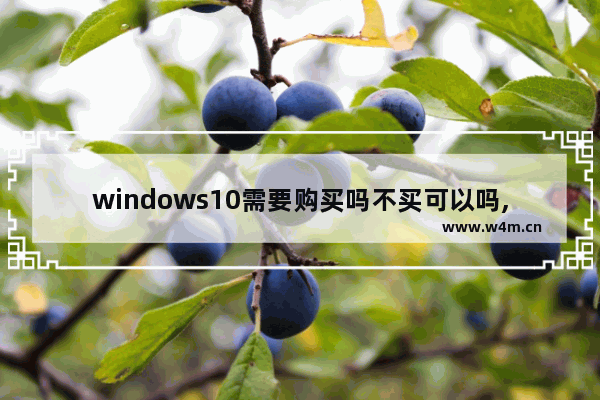 windows10需要购买吗不买可以吗,win10要购买才能安装么