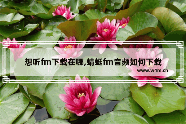 想听fm下载在哪,蜻蜓fm音频如何下载