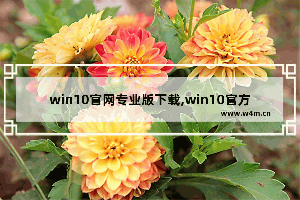 win10官网专业版下载,win10官方下载网站