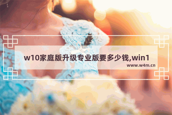 w10家庭版升级专业版要多少钱,win10家庭版怎么升级win10专业版多少钱