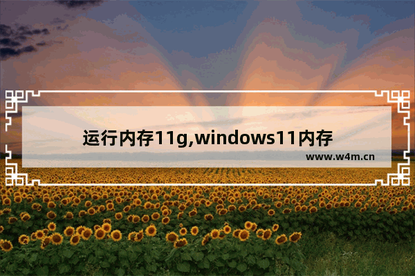 运行内存11g,windows11内存