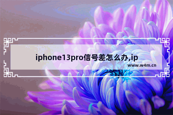 iphone13pro信号差怎么办,iphone 13 pro信号问题