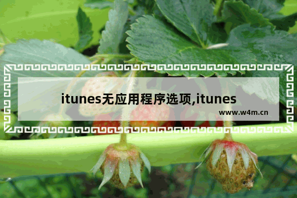 itunes无应用程序选项,itunes里没有应用选项