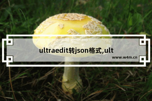 ultraedit转json格式,ultraeditjson格式化