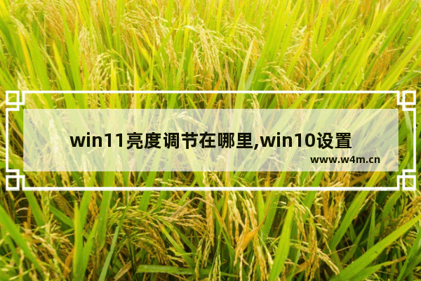 win11亮度调节在哪里,win10设置自动亮度